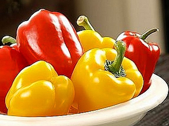 Varieties of pepper for the Moscow region: descriptions, tips on care and planting