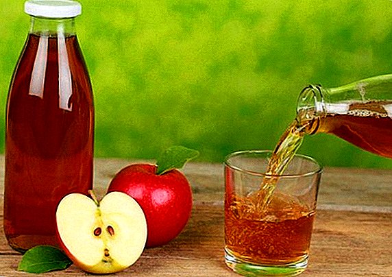 La composición, beneficios, receta del zumo de manzana.
