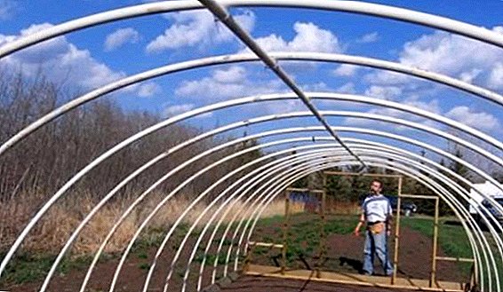 Consejos y recomendaciones para la producción independiente de invernaderos a partir de tuberías de plástico.
