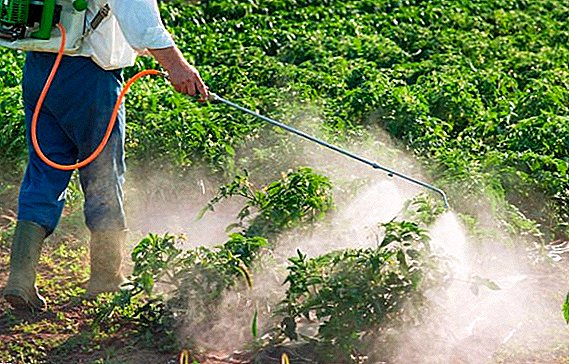 Lista de los insecticidas más populares con una descripción y foto.