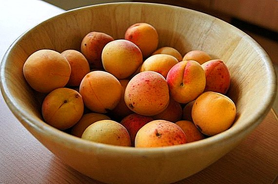 Ways of harvesting apricots for the winter