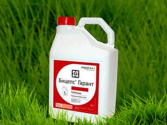 Means from weeds Biceps Garant: active ingredient, method of use, consumption rates