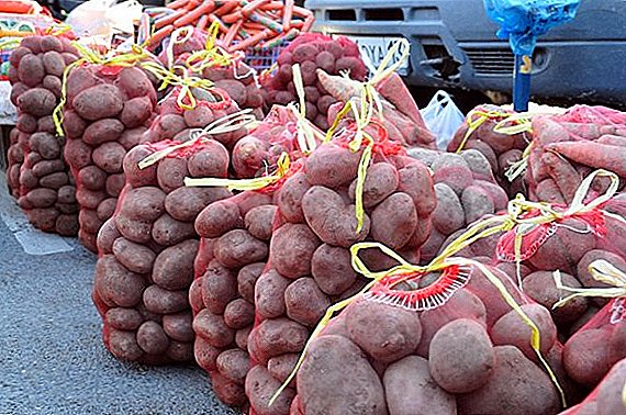 Le coût des pommes de terre en Ukraine va rapidement augmenter