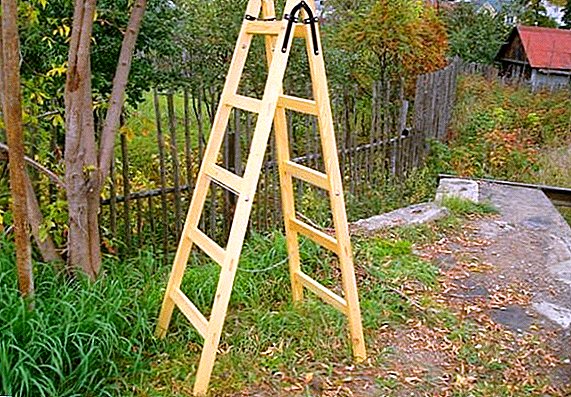 Escalera de tijera hazlo tu mismo de madera.