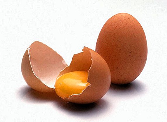 Chicken egg structure