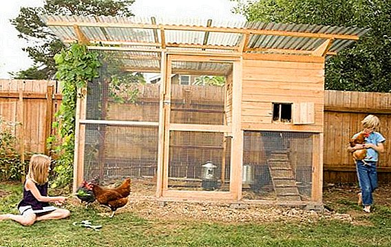We build a chicken coop of pallets with their own hands