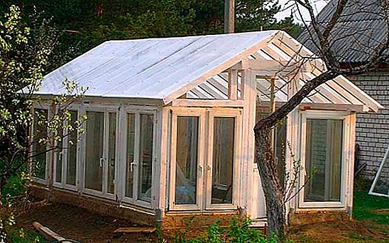 We build a greenhouse from the window frames with their own hands