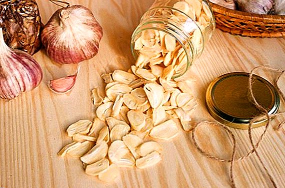 Bawang putih kering: manfaat dan kecederaan, resipi