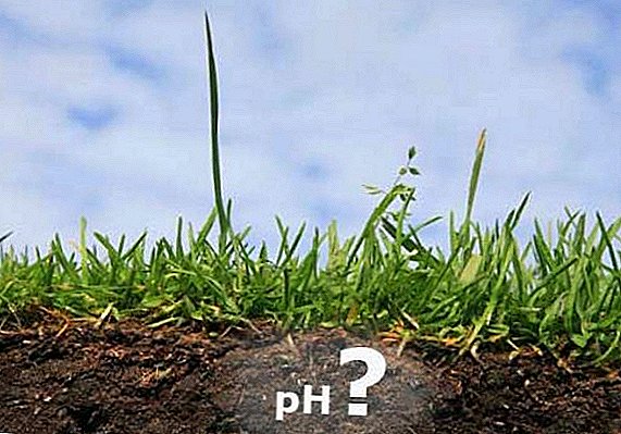 Table and significance of soil acidity for garden and garden crops