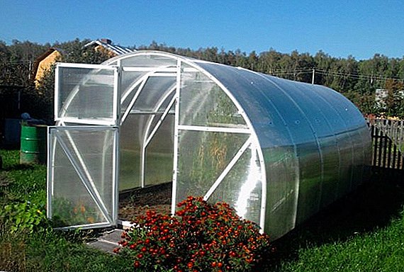 Greenhouse "Signor tomato": the assembly of their own hands
