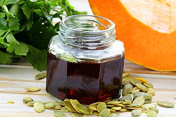 Pumpkin seed oil: what it is good for and what it treats, how to use and use