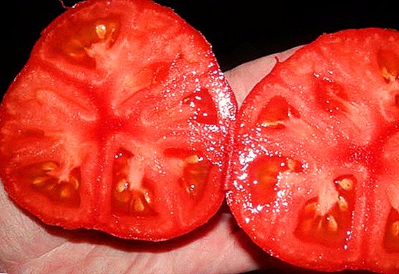Tomate "Strawberry Tree" - eine eigenständige ertragreiche Sorte