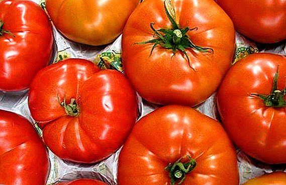 Tomatensalat Cap Monomakh: Fotos, Beschreibung und Ertrag