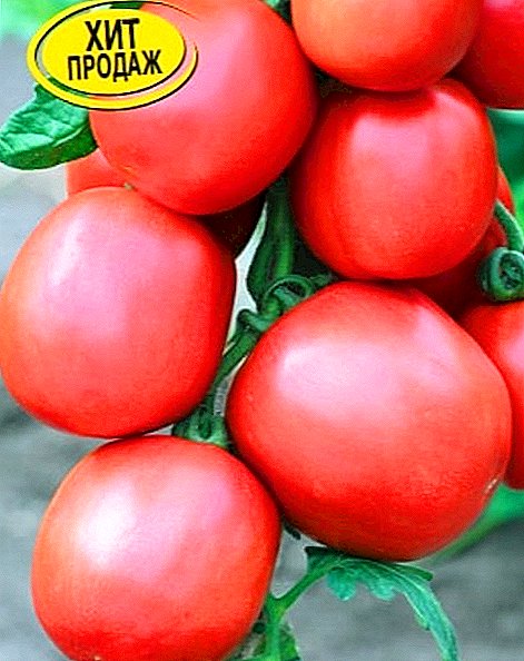 Tomate "Stolypin" - eine krankheitsresistente Determinante