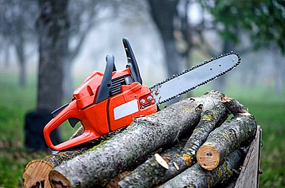 TOP of the best chainsaws to give and work