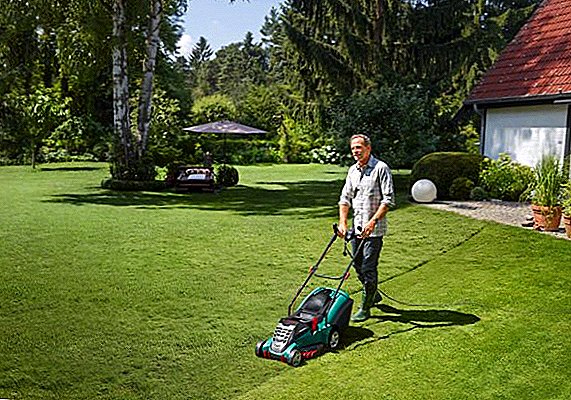 TOP rating of self-propelled lawn mowers