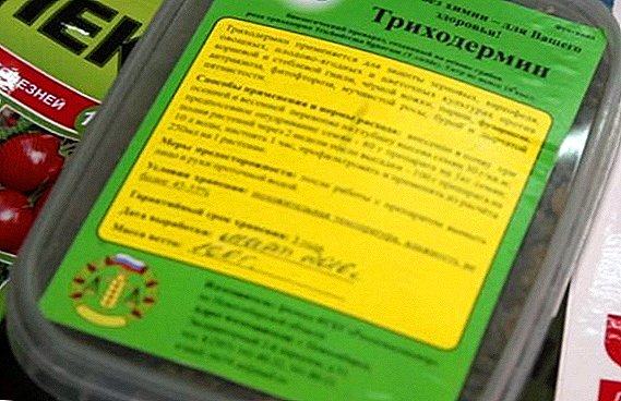 "Trichodermin": a description of the biological product and instructions for use