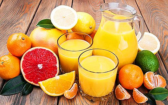 Scientists recommend eating citrus peel