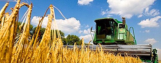 Ukraina ønsker å øke volumet av landbruksprodukter på EU-markedene