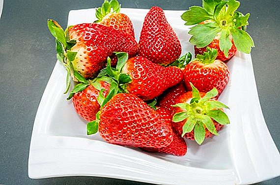 Ukraina vil øke importen av friske jordbær