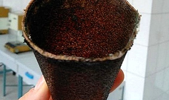 Ukrainian student scientists have created an environmentally friendly glass of coffee grounds