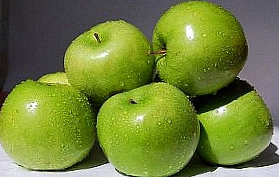 سوف مجموعة متنوعة من التفاح الأوكرانية Renet Simirenko محاولة لجعل العلامة التجارية الدولية