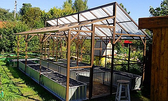 Installation of a wooden greenhouse in the country, tips and tricks