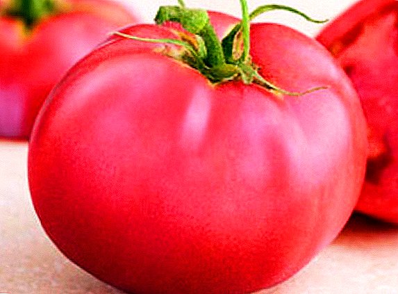 Firme e inflexible: una variedad de tomates "Demidov"