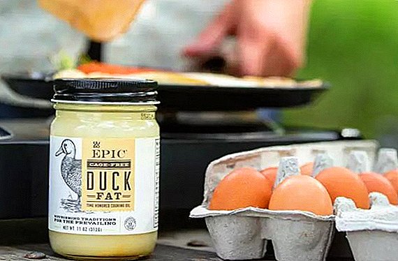 Duck fat: what is useful, what to do, how to melt and use