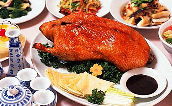 Kachní maso: kolik kalorií a bílkovin než užitečné