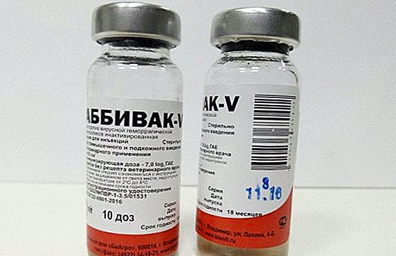 Vacuna Rabbiwak V: instrucciones de uso para conejos
