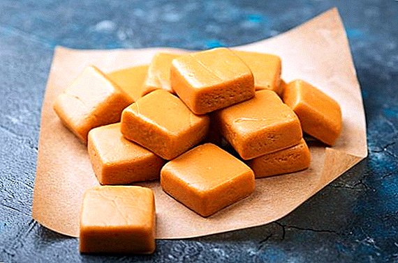 En Bouriatie, on reprend la production de caramel au beurre selon la recette classique.