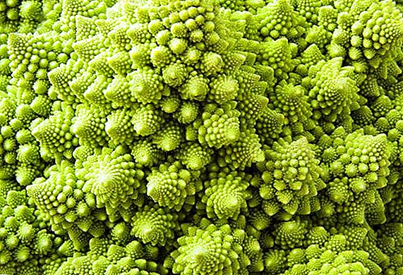 What are the benefits and harms of cabbage Romanesco