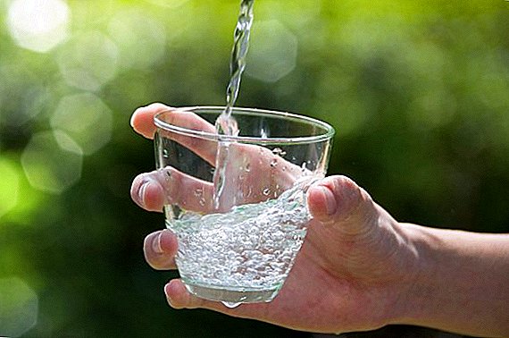 في الدنمارك ، في الآبار التي تحتوي على مياه الشرب ، وجدت عناصر كيميائية تهدد الحياة