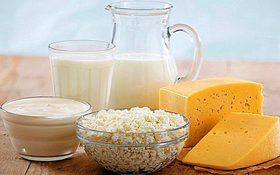 In February, the rise in price of dairy products is expected