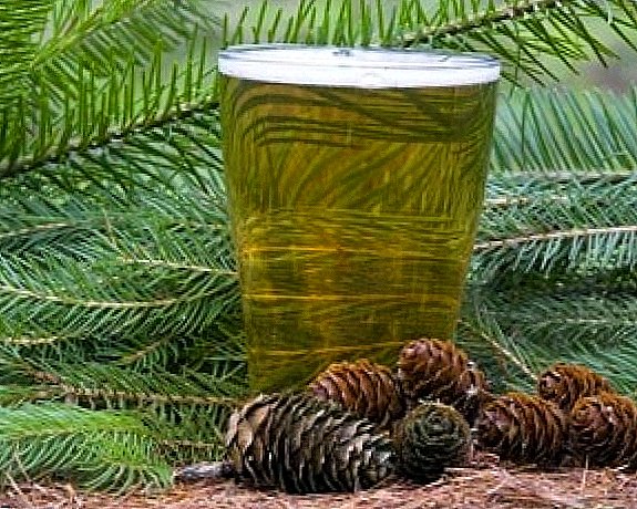 In the Netherlands, made a limited series of beer made from Christmas trees