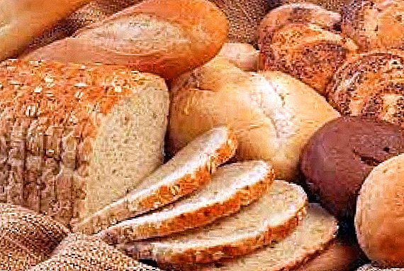 En Odessa, el pan inventado, que acelera los procesos metabólicos.