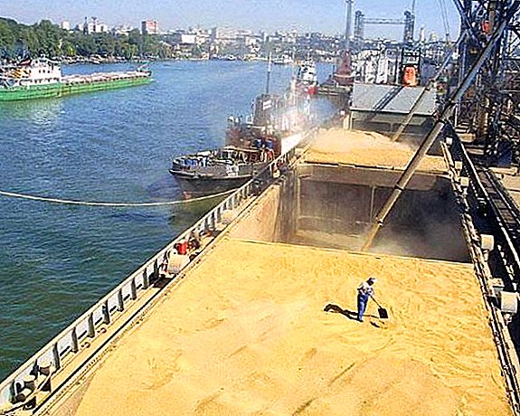 Pirmąją vasario savaitę Krasnodaro teritorijos jūrų uostai sumažino užsienio grūdų tiekimą