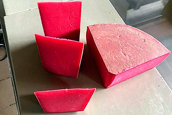 In Switzerland, made pink cheese