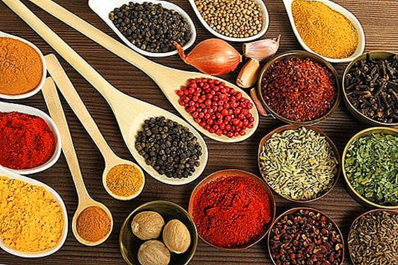 In the USA, they taught computer neural network to create spices
