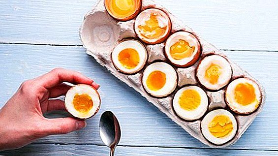 U SAD-u je stvoren sintetički nadomjestak za kokošja jaja