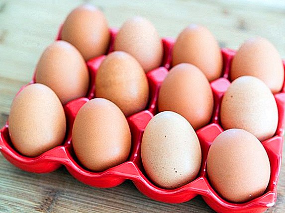 V regionu Sverdlovka navrhli přidat další dvě do standardních "deseti" vajec