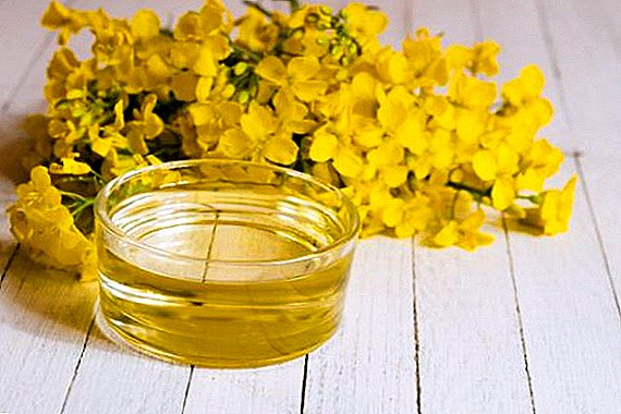 In Tomsk began to produce rapeseed oil