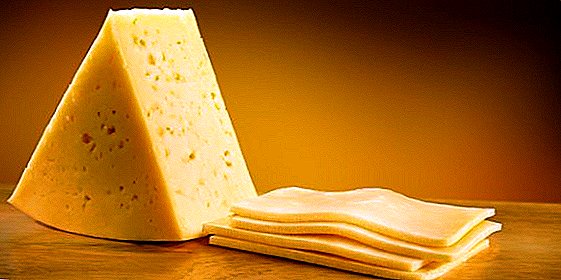I Tomsk-regionen producerer schweizisk ost