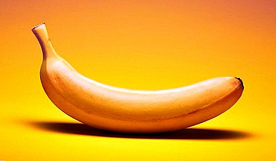 الموز ينمو الآن في تركمانستان أيضا