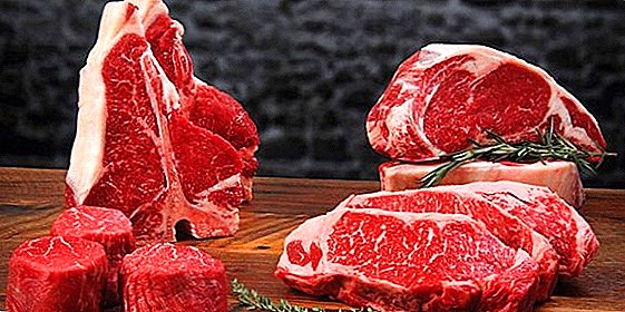 Ucrania comienza el programa de capacitación de productores nacionales de carne antes de la apertura del mercado de la UE.