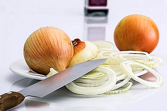 In Ukraine, onions went up significantly