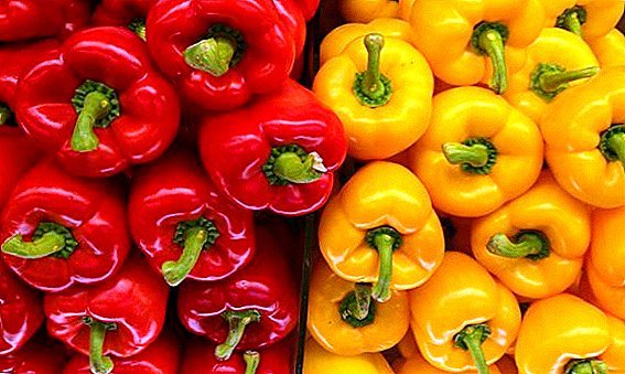 Ukraine has fallen prices for sweet peppers