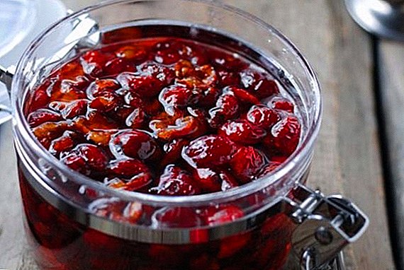 Hawthorn jam for the winter: step-by-step cooking recipes