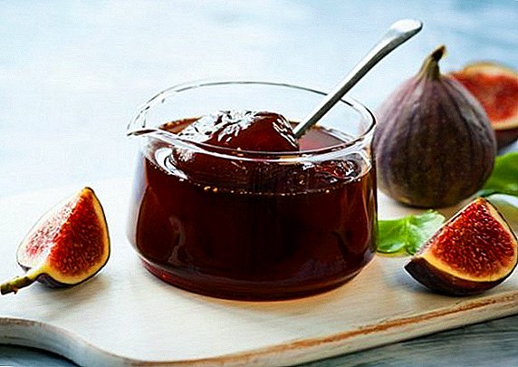 Fig jam: cooking recipes with photos step by step